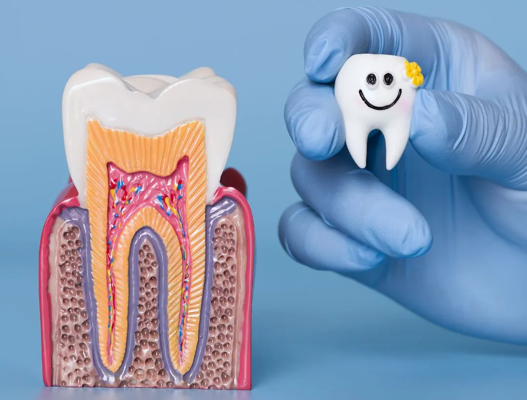 periodontal therapy 2